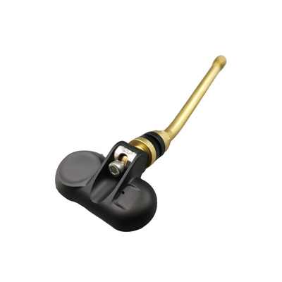 TPMS RVのタイヤ空気圧のモニタリング システム